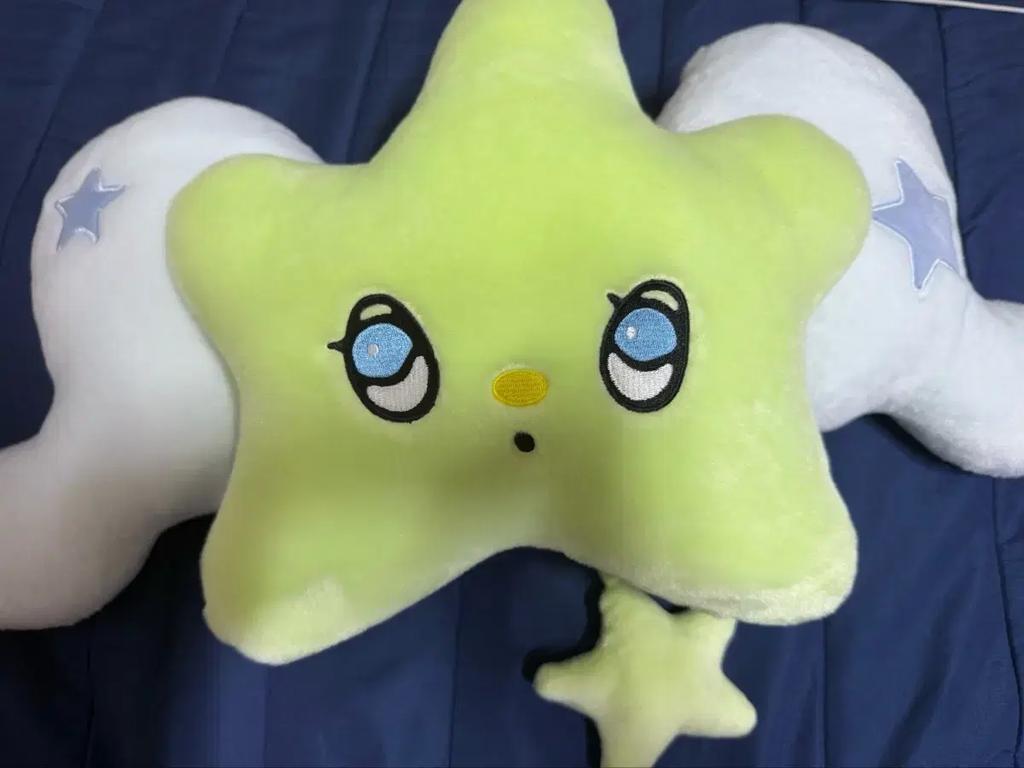 Wichu Cushion