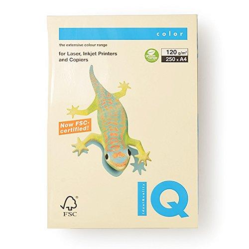 

Bio Top Color Cream A4/120g 250T