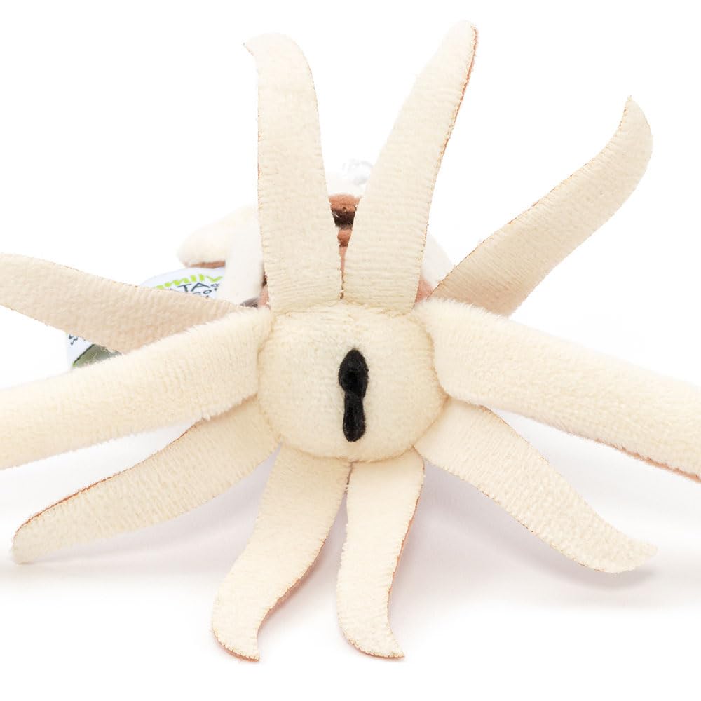 COLORATA Kjempeblekksprut Plysjmaskot (Realistisk dyphavsvesen med kjede) Nøkkelring Dukke Gave (Dobbelt testet)  Julegave