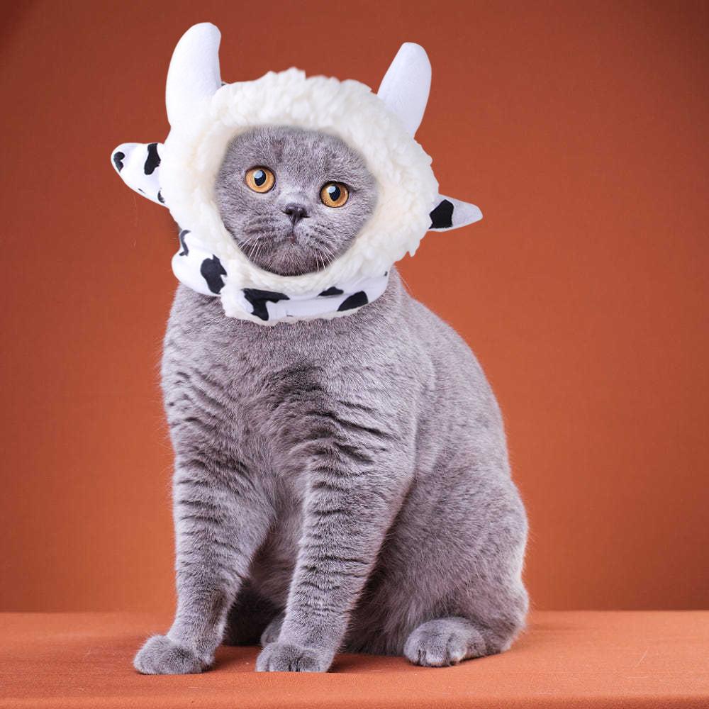 Pet Hood Cute Dog Teddy Dress Up Sunflower Cat Headgear Wig Cat Hat