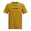 Regatta Mens Fingal Mountain T-Shirt