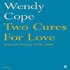 Two Cures for Love by Wendy Cope Paperback Book 9780571240784