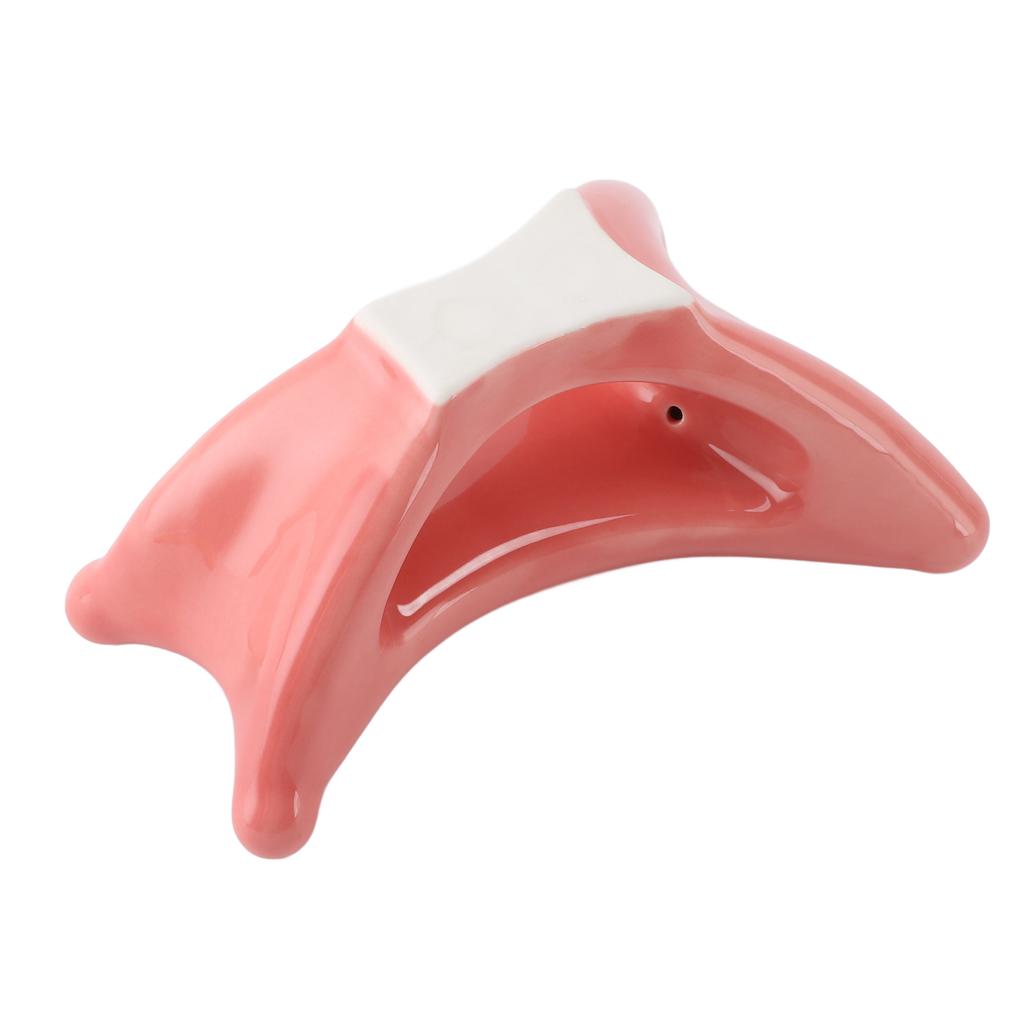 Trigger Point Gua Sha Massage Tool Lymphatic Drainage Reduce Swelling Ceramic Guasha Scraping Tool