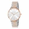 Analog Silver Dial Ladies Watch Two Tone [Armani Exchange] T-SERIES