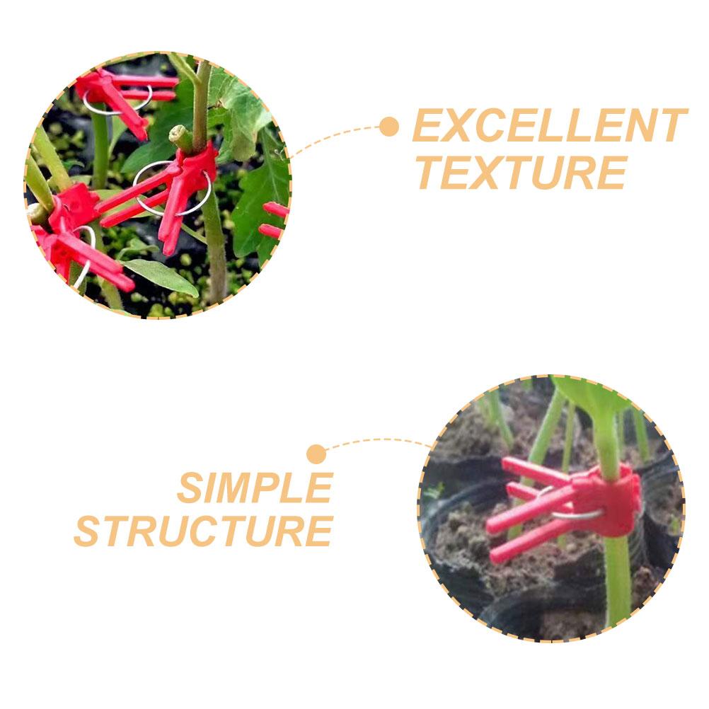 1 Set Veredelungsklammern Gewächshauspflanzen Befestigungsklammern Pflanzenstielhalter Fixe Klemmen Kunststoffklammern Für Gurken Chili Zangen