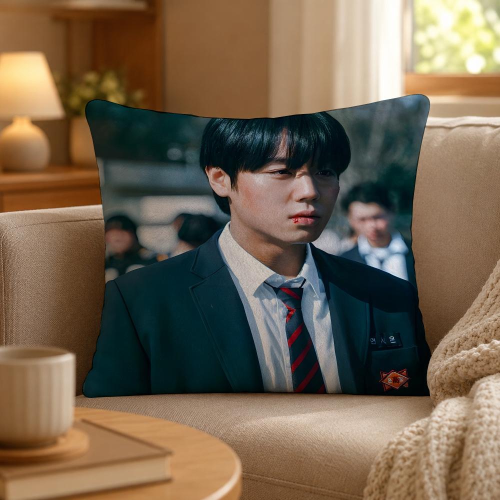 Series Weak Hero Class One Cushion Cover Personalized Short Plush Cushion Cover Sofa Pillowcase Bedroom Home Decor Gift