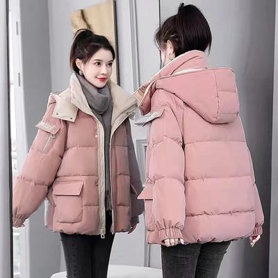 Giacca Invernale da Donna Versione Coreana Semplice Collo Alto Cotone Ispessito Sezione Corta Sport Vento Abbigliamento Pane