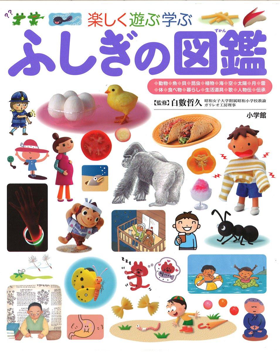 

Загадочная Книжка-картинка Книжка-картинка (Детский Пре-НЕО от Shogakukan)