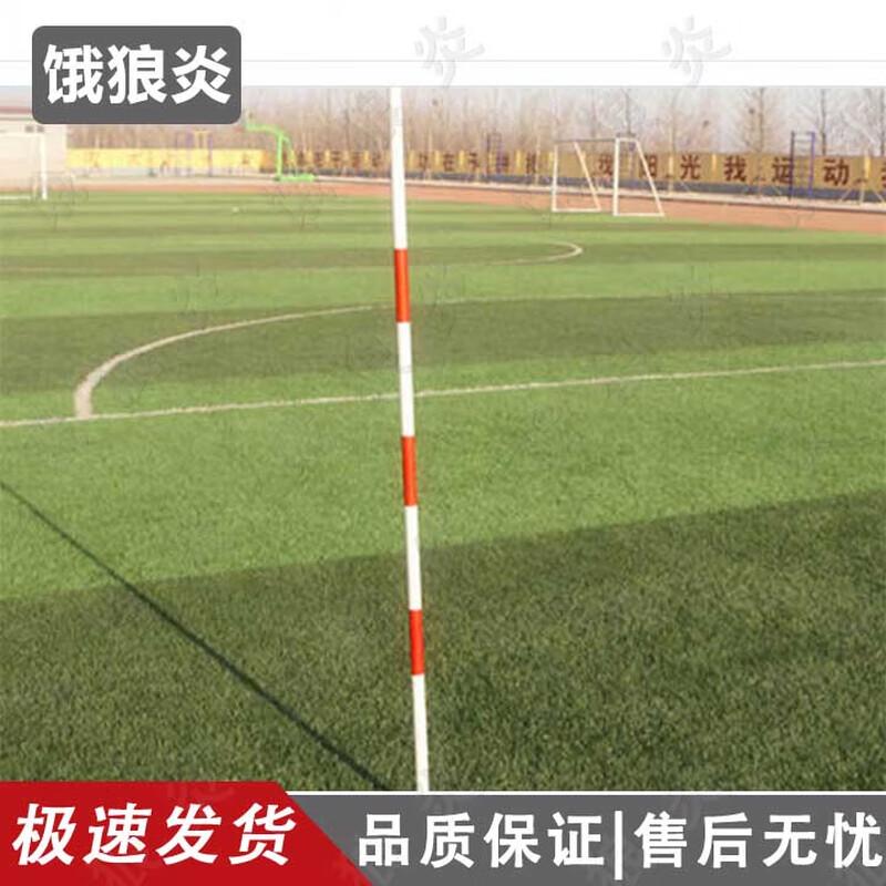 Agility Training Poles with Bases