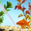 1-10pcs Fish Tank Vacuum Cleaner Lengthen Pipettes Cleaners for Aquarium Water Changer Simple Cleaning Tool Aquatic Pet Supplies
