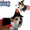 with Witch Hat Cat Cosplay Cloak Star Kitten Dress Funny Small Dog Knight Cape  Cat