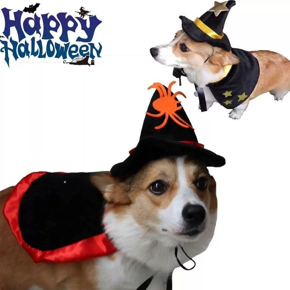 with Witch Hat Cat Cosplay Cloak Star Kitten Dress Funny Small Dog Knight Cape  Cat
