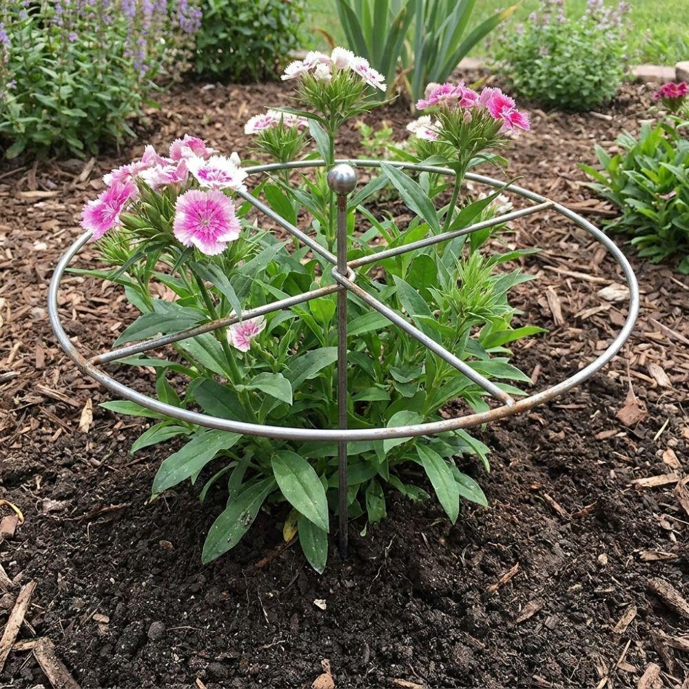 Rust-Proof Metal Plant Support Ring Weather-Resistant Garden Plant Holder Plant Growth Fixing