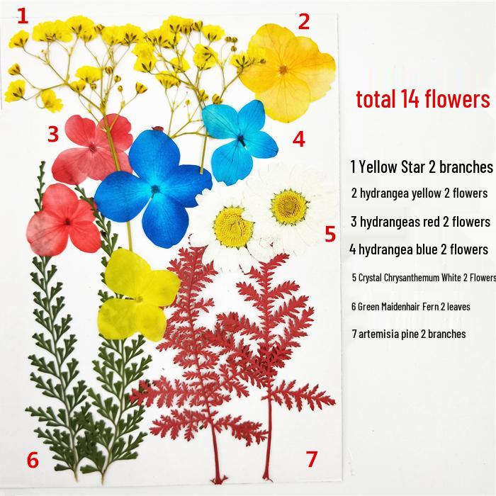 Handmade Kindergarten Collage: Real Dried Leaf and Flower Stickers for Face and Photo Decoration