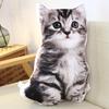 Cat & Dog Plush Toy - Corgi Chihuahua Cushion & Rag Doll