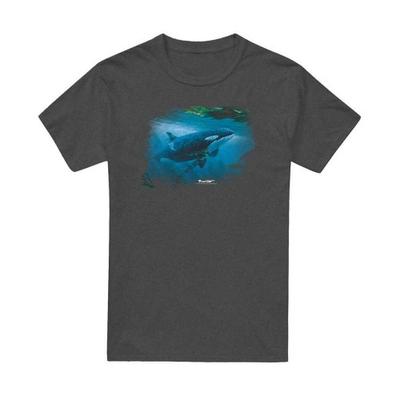 Wildlife Unisex Adult Pursuit Thru The Kelp Orca Heather T-Shirt