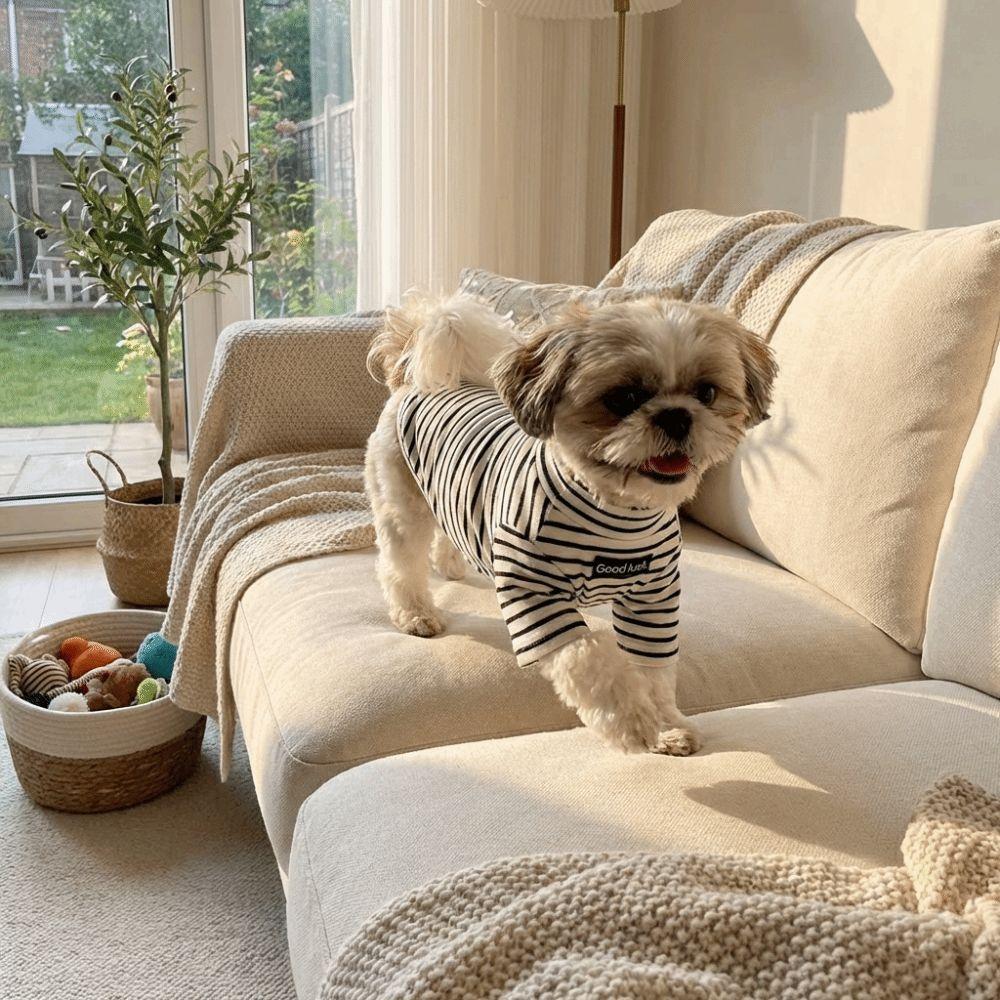 Warm Dog Base Coat High Collar Striped Sweatshirt Cat Household Wear Dog T-shirt  Indoor Use