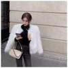 Autumn and Winter Popular Daughter Wind Fur Coat Women's Imitation Fox Hair Short Toka Hair Coat Tide