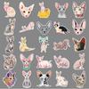 50 Photos of Sphinx Hairless Cat Doodle Cartoon Cat Guka Decorative Water Cup Suitcase Sticker Waterproof