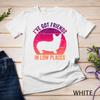 Corgi I've Got Friends In Low Places Pembroke Welsh Lover Te Unisex T-shirt