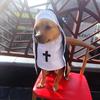 Pet Dress Cosplay Nun Headwear Puppy Kitten Nun Style Dress Halloween Dress Up Clothes Pet Costume Set Dog Transform Clothes
