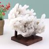 Natural Wooden Display Stand With 3 Peg Rock Holder Square Base For Home Decors And Collectibles Minerals Agates Holder