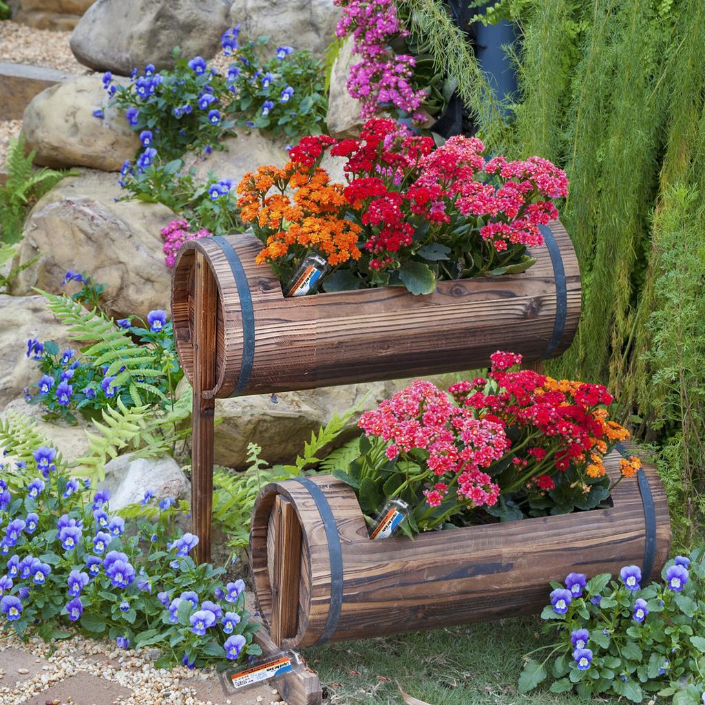 Ameisen – Flüssigkeit beseitigt effektiv Ameisen – 18 Zählstationen, effektiv Ameisen im Innenbereich, 20 ml