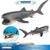 Megalodon Model Set: Prehistoric Deep Sea Creatures for Kids