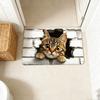 Water-absorbing Optical Illusion Doormat Non-slip Bedroom Door Rug Bathroom Carpet  Home Decor
