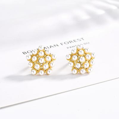Elegant and Temperamental Silver French Star Pearl Stud Earrings Retro Hepburn Simple and Cold Wind Earrings Women's New Models