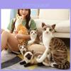 Realistic Plush Cat Figurine For Home Decoration And Gifts With Soft Pp Cotton Filling