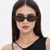 Occhiali da Sole Retro Cat Eye da Donna Con Lenti ad Alta Protezione Solare Occhiali con Chiodini di Riso Montatura Piccola Irregolare Occhiali da Sole MN5538