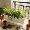 Vasi per Piante Idroponiche Auto-irriganti Vaso per Piantine in Plastica Vassoio per Germinazione Giardinaggio di Verdure