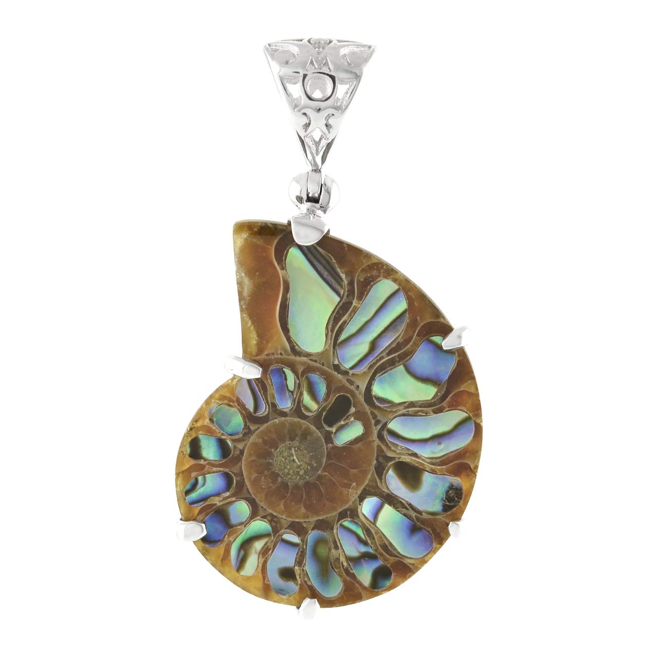 

Abalone shell inlaid pendant with ammonite Sterling silver Tree of life decoration [Starborn] / (Silver925) /