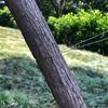 Outdoor Mini Pocket Saw Wild Camps For Stainless Steel Wire Saw