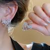 Zircon Metal Fireworks Earrings Korean Niche Cold Wind Earrings Temperament Versatile Earrings