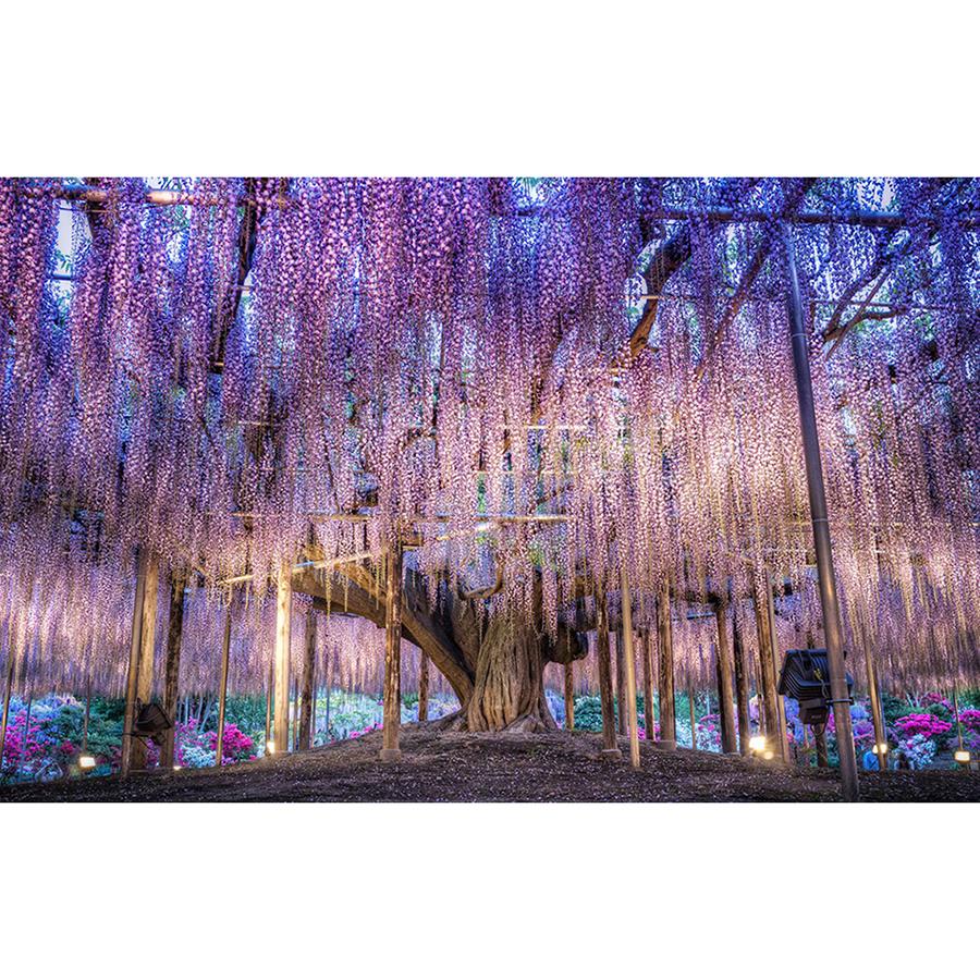 5D Diamond Painting Sunset Landscape Diy Round Water Diamond Embroidery Beach Mosaic Pattern Complete Design Home Decoration