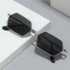 JYL TS Sunglasses Metal Small Polygon INS Women/8029