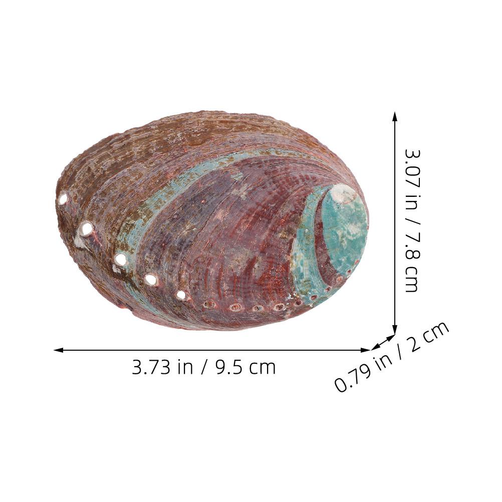 

Abalone Shell for Aromatherapy Natural Rough Shell Container Household Decor Aromatherapy Bowl Aquarium Landscaping Ornament