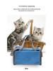 Large Breathable Foldable Cat and Dog Carrier Portable Travel Bag