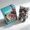 Giocattolo Elettrico Intelligente Gatto di Peluche Camminante Realistico Ronfante Peluche Animale Carino Interattivo Bambola Animale Domestico Compleanno Bambini per Ragazzi Ragazze