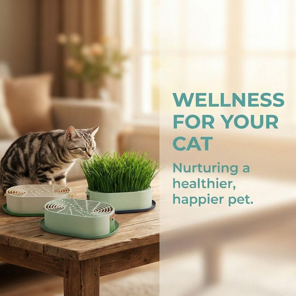 Prevent Overflow Cat Grass Planter Box Removable Nursery Pots Hydroponic Tray  Indoor Gardening