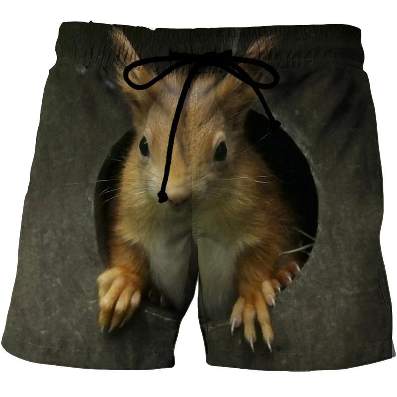 Funny Animal Squirrel Graphic Short Pants Summer Fashion Cute Pet 3D Printed Beach Shorts For Men Casual Trunks Gym Trousers