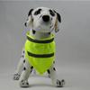 Chihuahua Teddy Pet Bryndáčky Reflexní Psí Ručník na Sliny Fluorescenční Psí Šátek Bandana pro Psy Suchý zip Svítící Psí Obojek