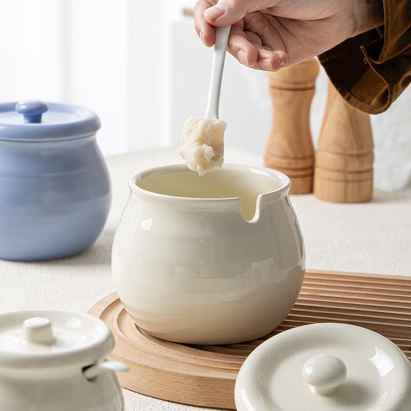 Ru Han Ceramic Seasoning Jar with Lid and Spoon
