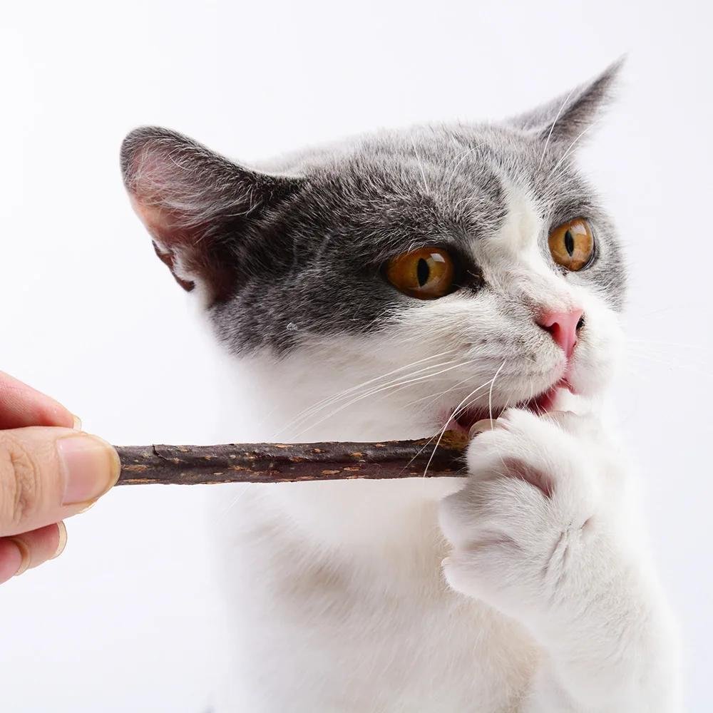 Hot Pure Natural Catnip Pet Cat Toy Suit Safety Molar Toothpaste Branch Cleaning Teeth Silvervine Cat Snacks Sticks Pet Supplies