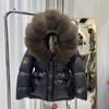European Station Winter New Women's Waist Down Jacket Hooded Luxury Fox Big Fur Collar Fashion Thickened Jacket