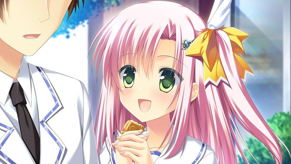 PriministAr Completely Limited Edition Original special pass case PS Vita -Primini Star- ([Bonus] soundtrack, included) -