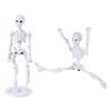 Educational Skeleton Model Figure, 9cm Articulated Human Anatomys Model Display Bring Unforgettable Experience