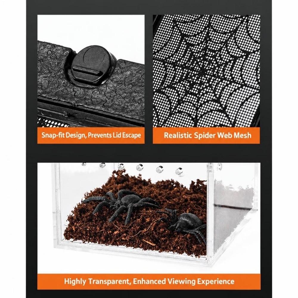 Prevent Escape Spider Pet House Transparent Crawling Pet Container Insect Breeding